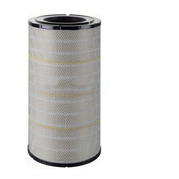 Af25619 Air Filter