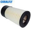 P786443 Air Filter