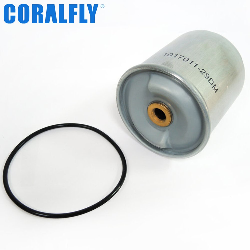 1017011-29DM oil filter