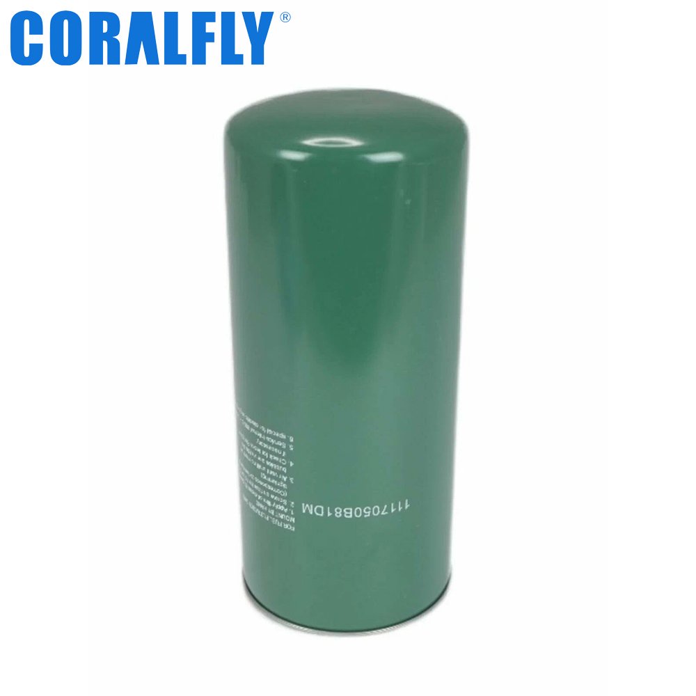 1117010-81D Fuel Filter