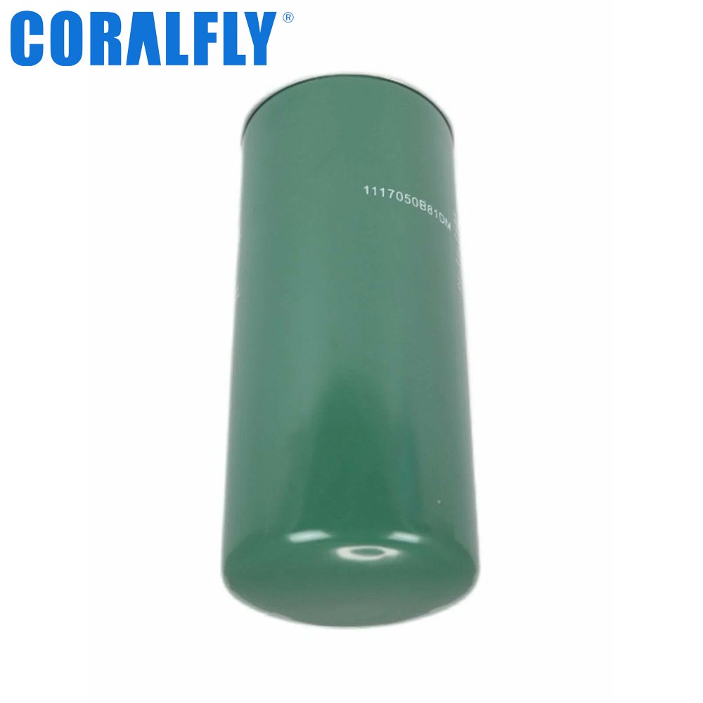 1117010-81D Fuel Filter