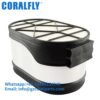 P605538 Air filter