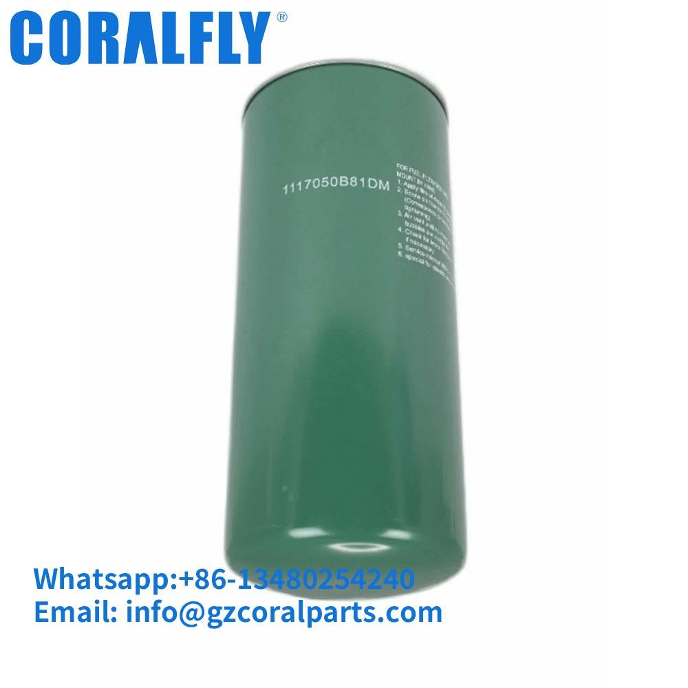 1117010-81D Fuel Filter