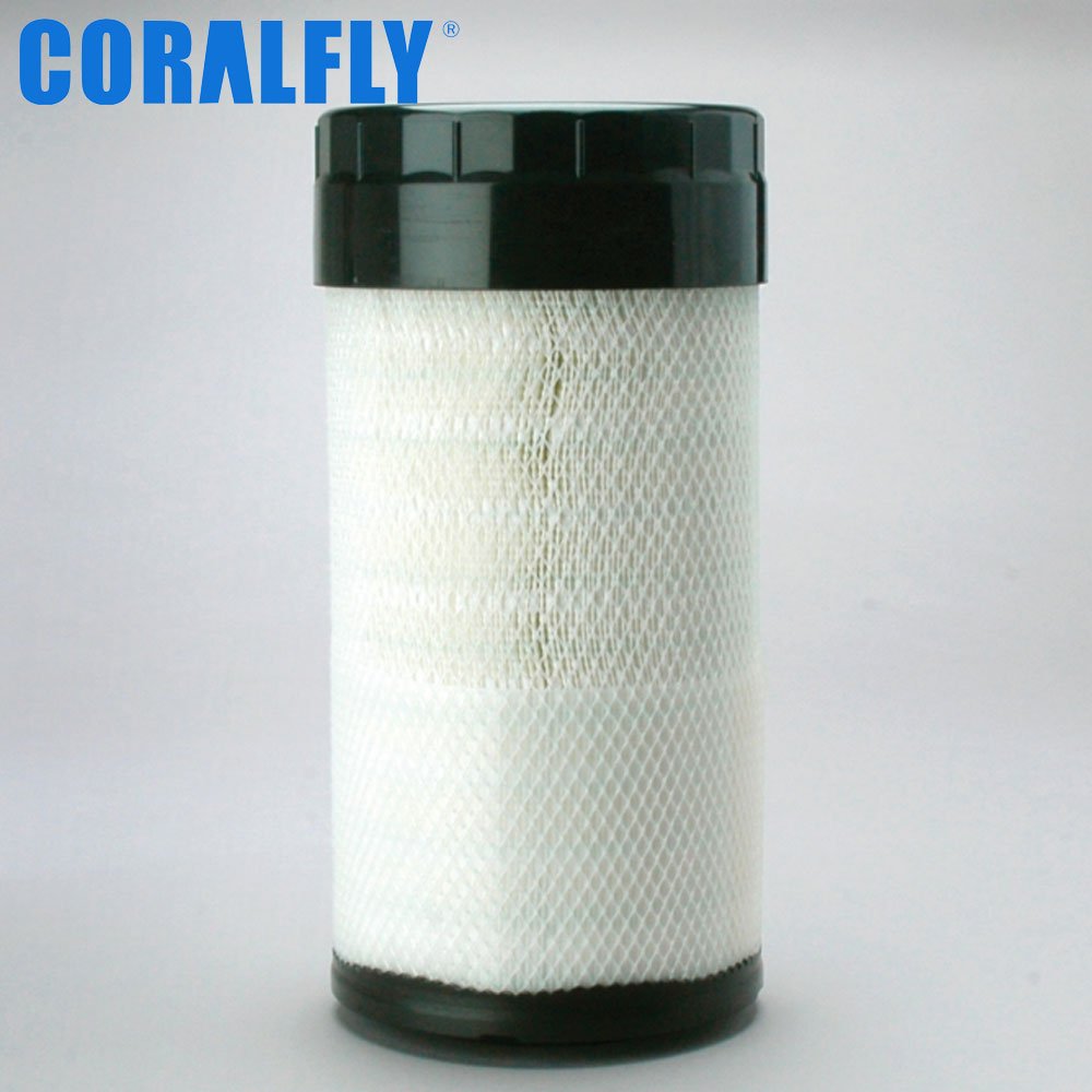 P785589 AF25143 RS5489 Air Filter
