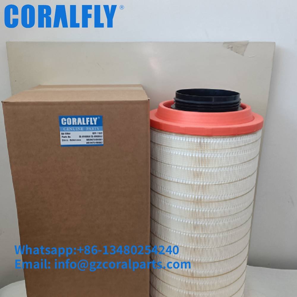 WG9X25190061 Air Filter