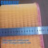 346-6687 AF25163 PA5289 P639058 Air filter