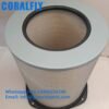 1665898 AF25238 PA3767 P778779 Truck Air Filter wholesaler