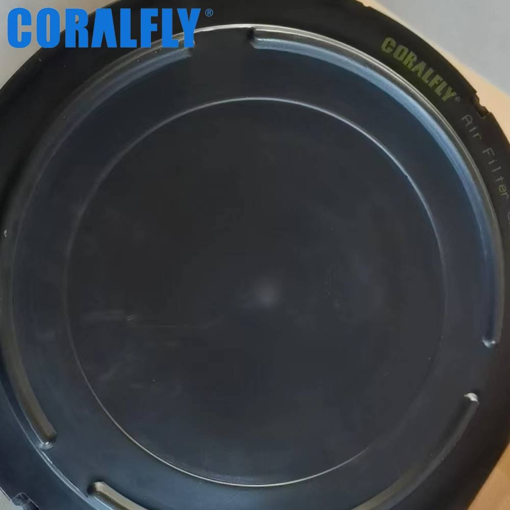 11033998 AF25619 RS3826 P777871 Air Filter manufacturing