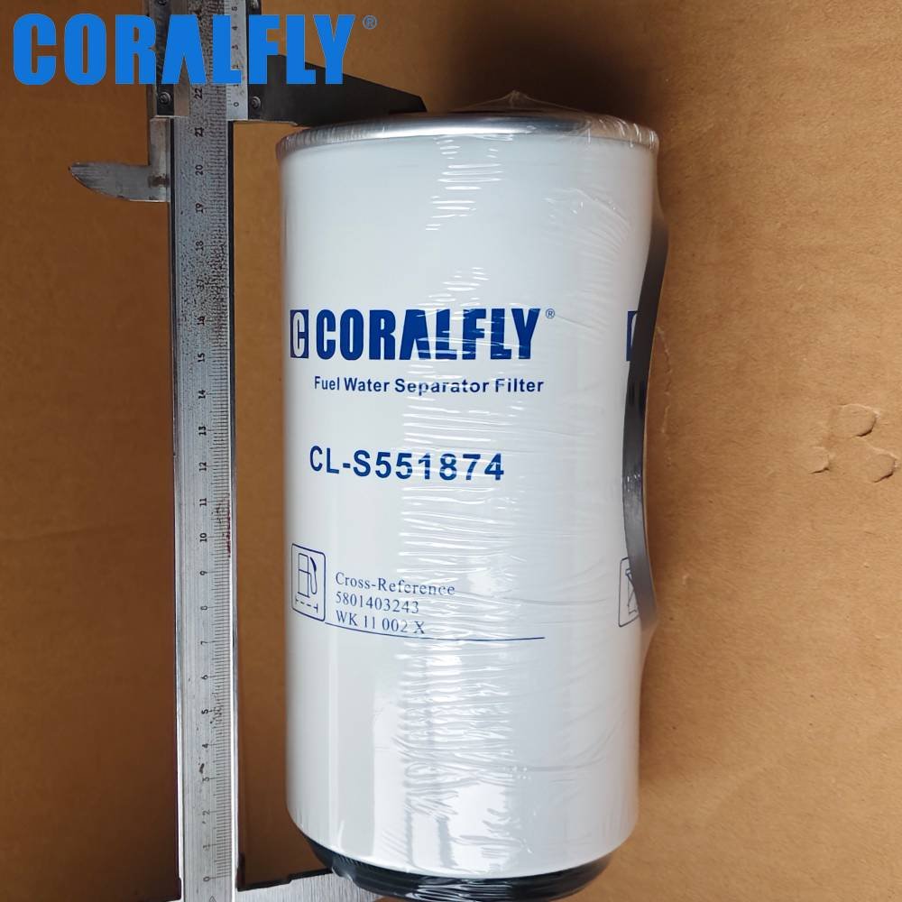5801403243 Truck china fuel filter