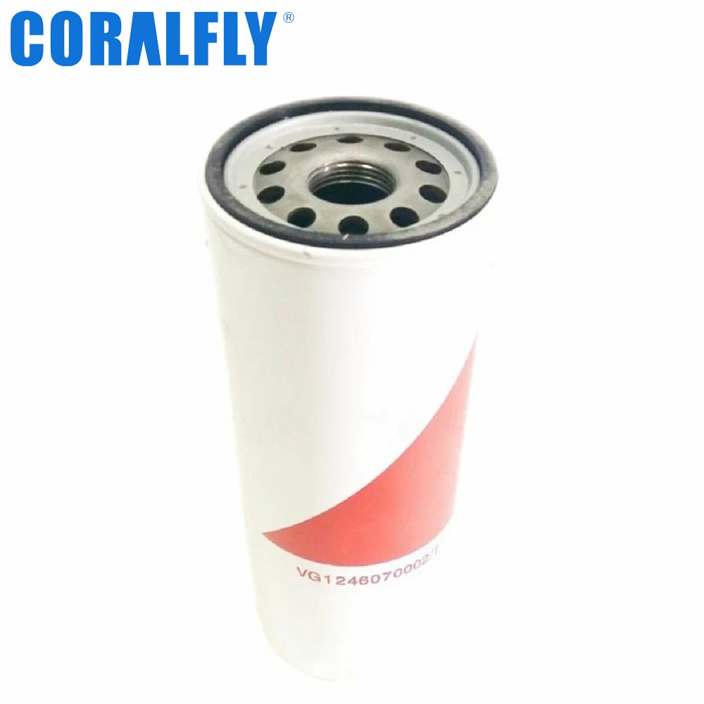 VG1246070002 bulk oil filter supplier
