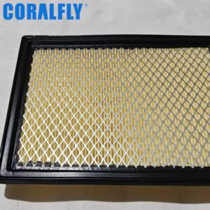 1654617B00 P536577 custom air filter manufacturers