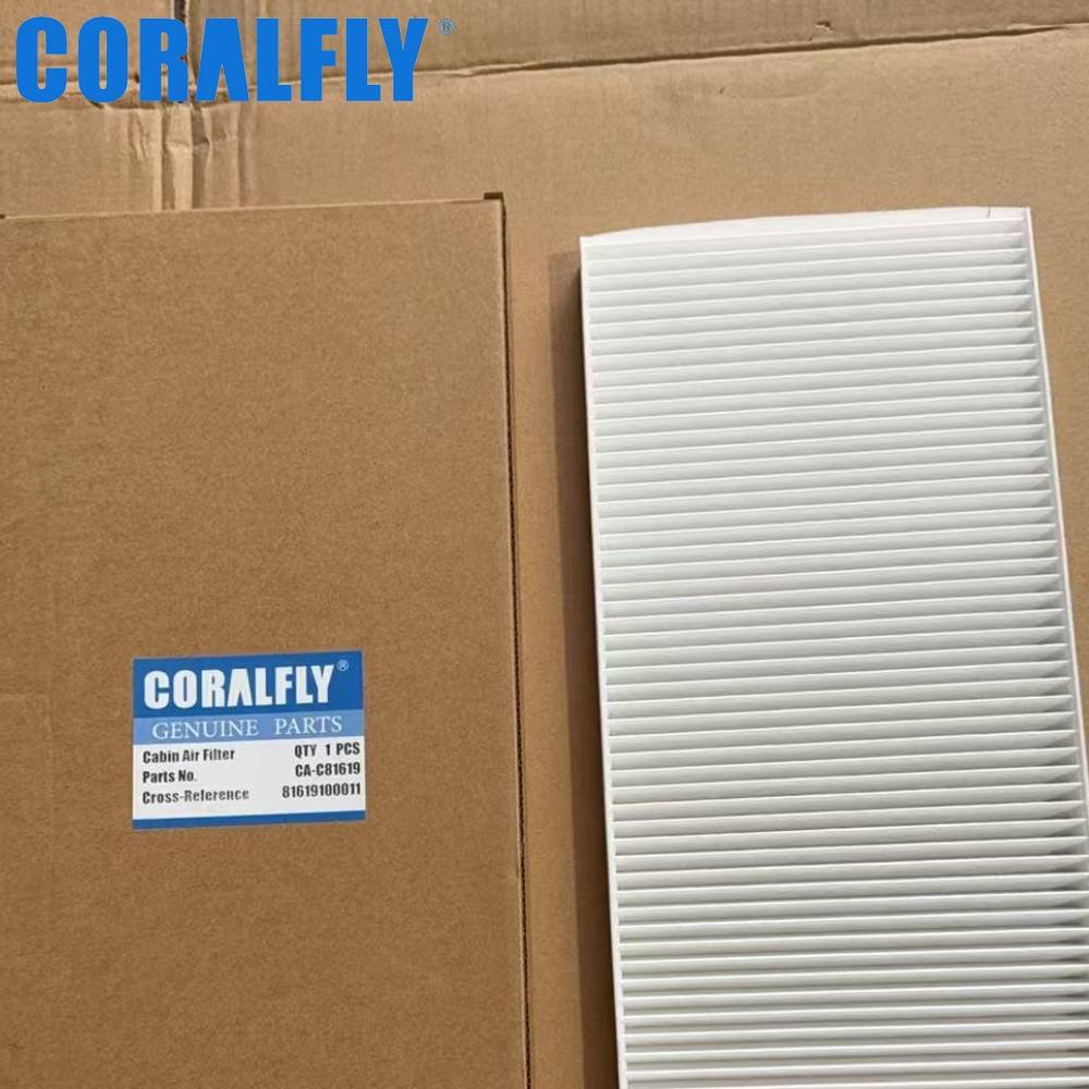 81619100011 AF25630 PA3980 cabin air filter important