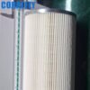 1-87610094-2 1876100942 FF5989 P502502 wholesale fuel filter
